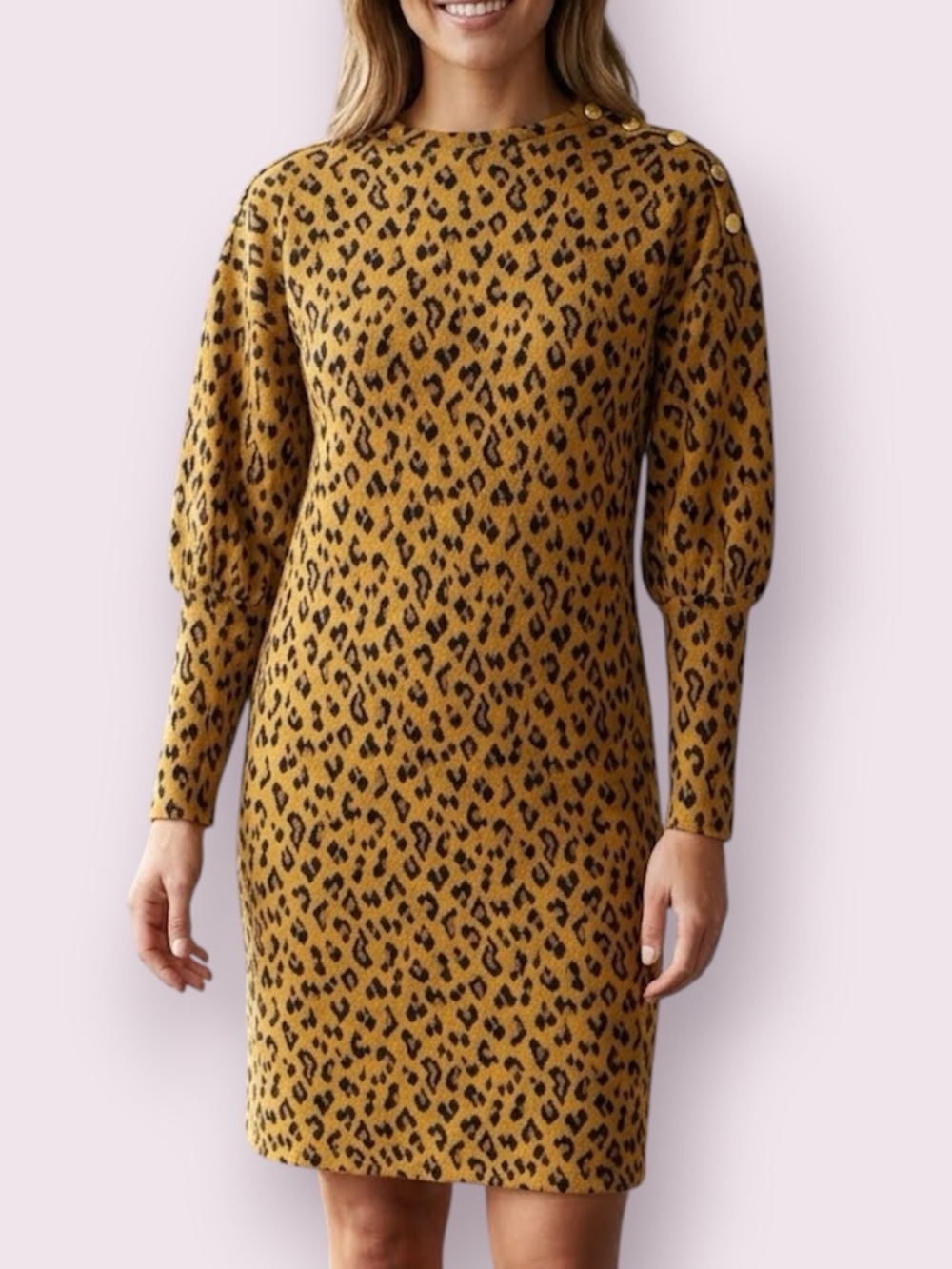 Walter Baker Leopard Cheetah Print Sweater Dress Button Shoulder Brown Black XS